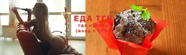 дмт Бородино