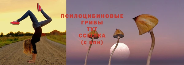 героин Верея