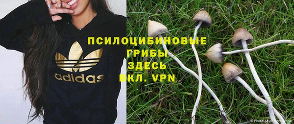 ешки Железноводск