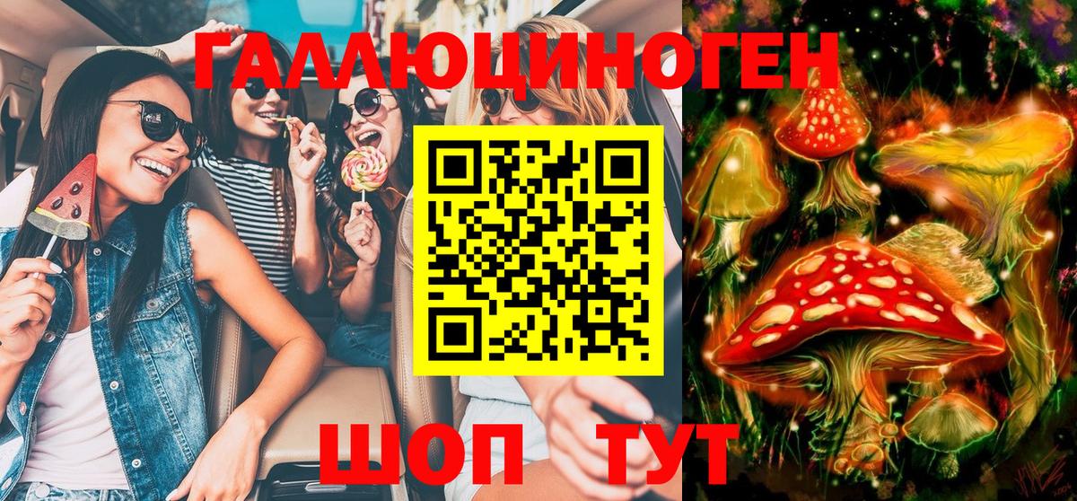 Псилоцибиновые грибы Psilocybe Выборг