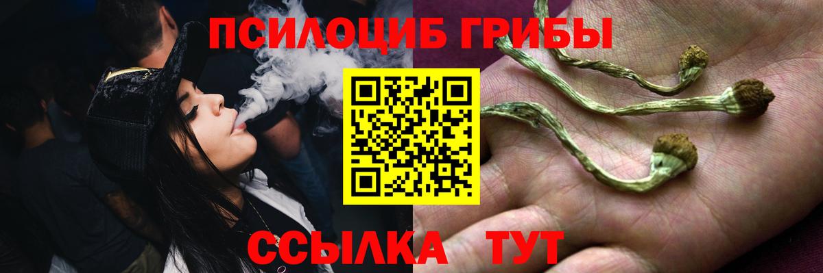 Выборг  магазин  наркотиков  Вход с VPN  Псилоцибиновые грибы GOLDEN TEACHER  Псилоцибиновые грибы мухоморы 